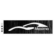 Автоинструктор ЧНОУ MAXIMA